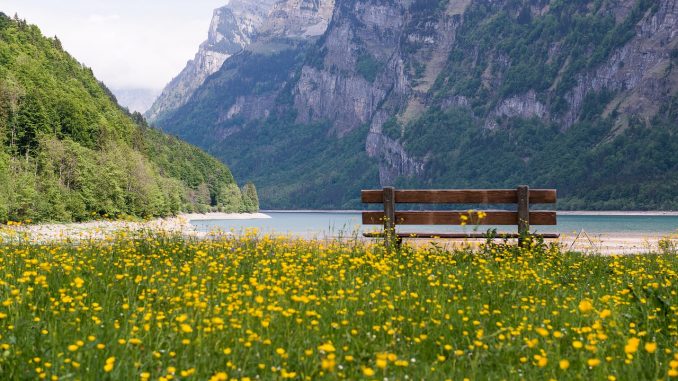 Betal lavere skat i Schweiz